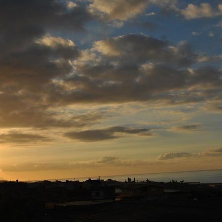 Discover The North Of The Island Of Tenerife ลาลากูนา ภายนอก รูปภาพ