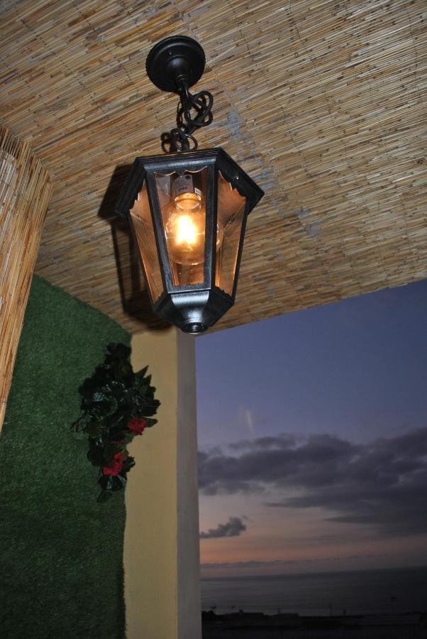 Discover The North Of The Island Of Tenerife ลาลากูนา ภายนอก รูปภาพ